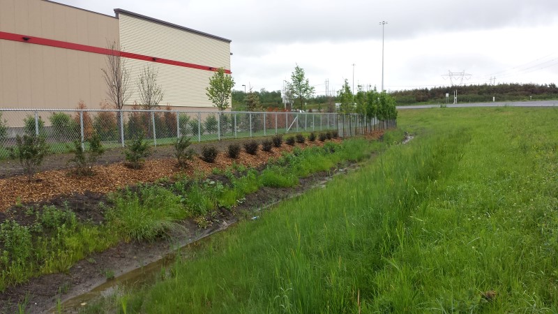 taille d'arbuste Lévis